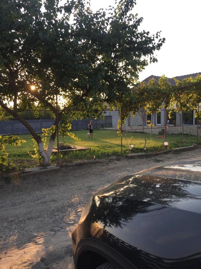 La Olteanu Hotel Vadu Kültér fotó