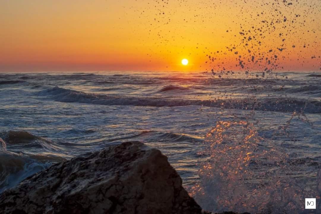 La Olteanu Hotel Vadu Kültér fotó